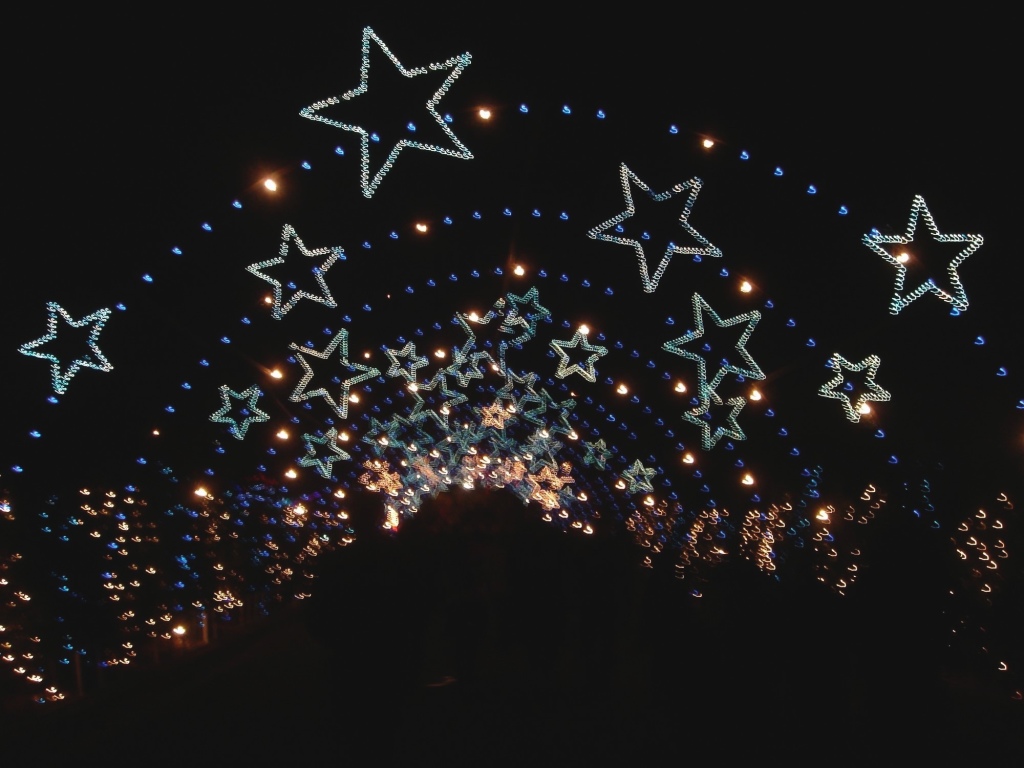 Hildebrand Christmas ScreenSaver/1024x768_2005-12-22-49 Trail of Lights.jpg